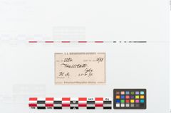 Etikett zu Tierknochen (NHMW-PRAE-002284)